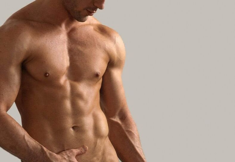 Busto
