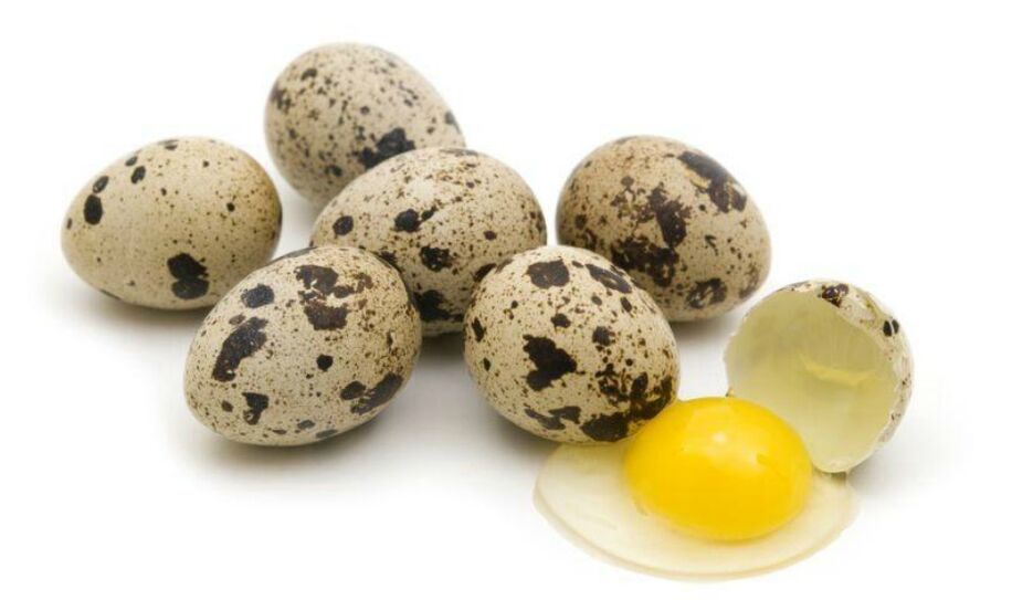 Huevos de Quaglia para Potenza