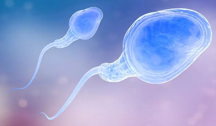 El esperma puede estar presente en el pre-eyaculado de un hombre